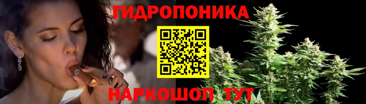 Бошки марихуана семена  МАРИХУАНА марихуана  Вход с VPN  Мурманск  МАРИХУАНА OG Kush  Конопля гибрид 
